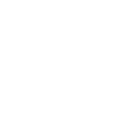 Remax logo