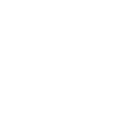 Armscor logo